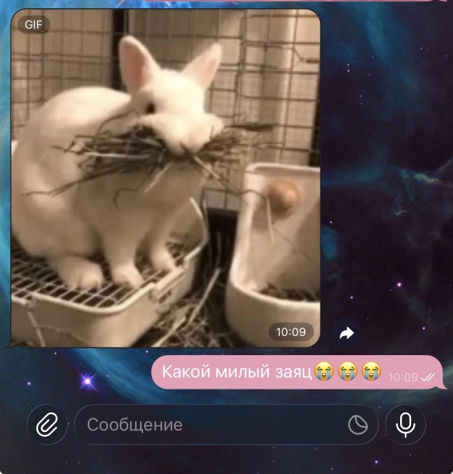 ������ ������������� ������ � �������� �����. ����: <a href="https://pikabu.ru/story/yemodzi_kotoryie_vyi_ispolzuete_ne_tak_14285165?u=https%3A%2F%2Fstav.aif.ru%2Fsociety%2Fkepka-lozh-nogotochki-spletni-emodzi-kotorye-vy-ispolzuete-ne-tak&t=%D0%90%D0%B8%D0%A4-%D0%A1%D0%B5%D0%B2%D0%B5%D1%80%D0%BD%D1%8B%D0%B9%20%D0%9A%D0%B0%D0%B2%D0%BA%D0%B0%D0%B7&h=0516559087db83a6be7a6ff68cb5ab00fbb2298d" title="https://stav.aif.ru/society/kepka-lozh-nogotochki-spletni-emodzi-kotorye-vy-ispolzuete-ne-tak" target="_blank" rel="nofollow noopener">���-�������� ������</a>