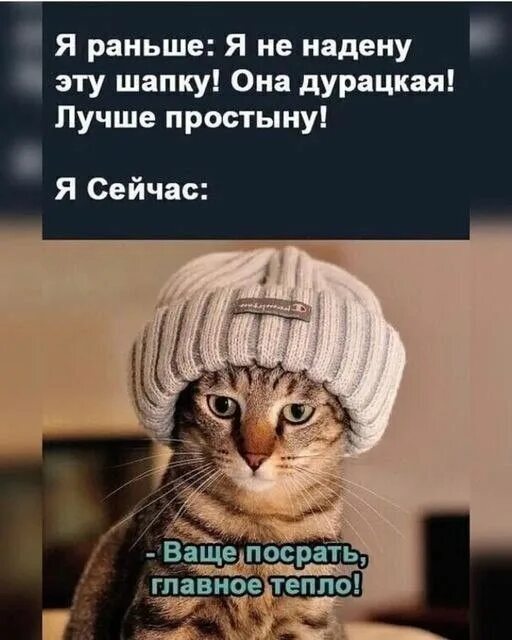 Жиза