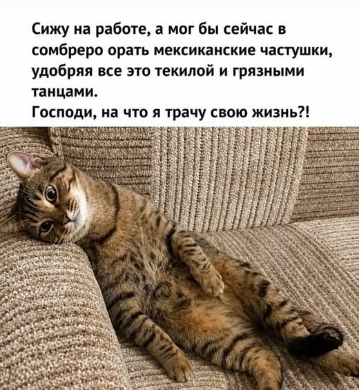 А жизнь проходит...