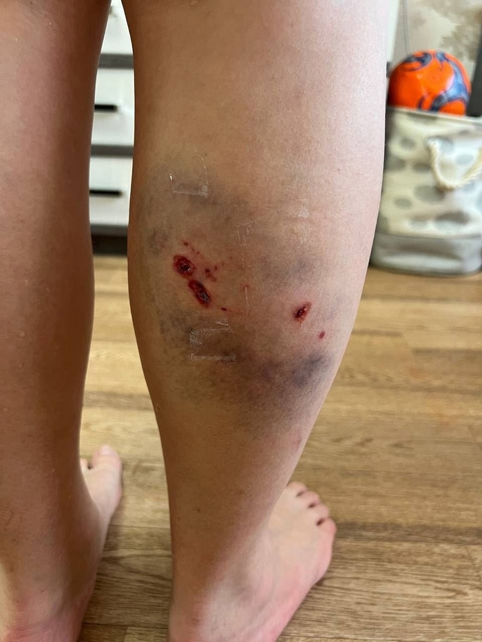 ���������� � ������� ��������� �� ������ ������ � �������� ��������� ��� ��������� �������� �����