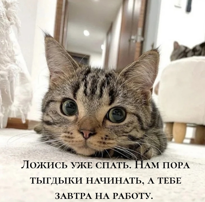 Вечерний гипноз
