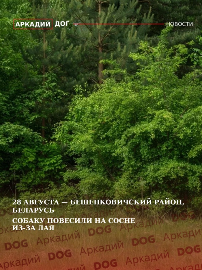 В Беларуси мужчина повесил собаку на сосне из-за лая