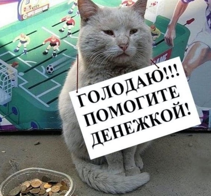 Когда учился 4+2+2+1 лет ( бакалавриат, магистратура, ДПО, аккредитация)