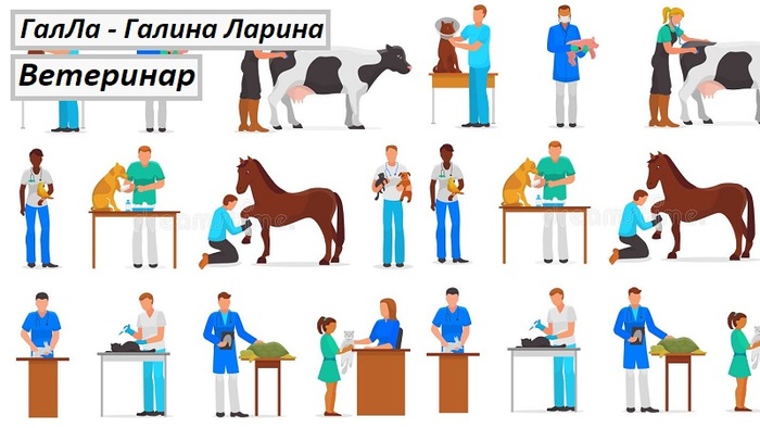 Поздравляем всех айболитов!