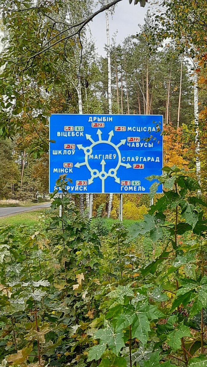 Розочка на подъезде к Могилёву, РБ