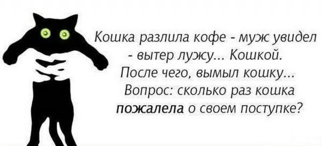 Жизнь котьки))))