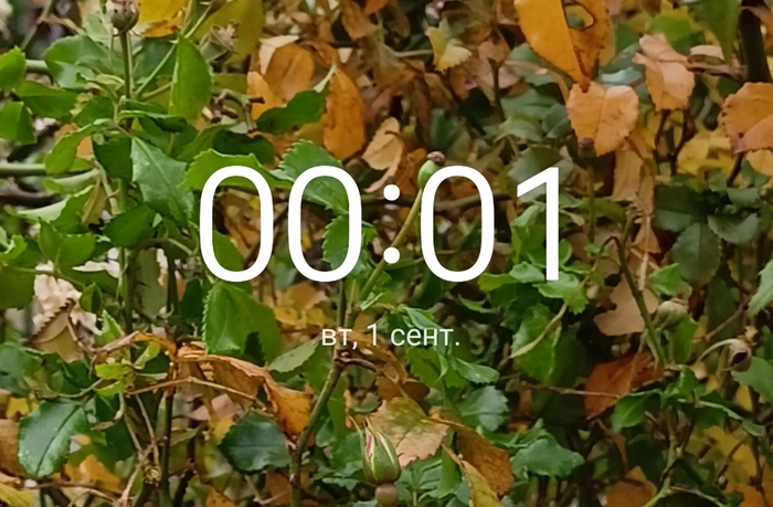 ��� � �����, � ����� � ���� ��������...