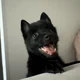 ����� ����� ������ ���� �����������