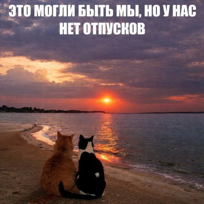 Нет, это не слёзы на моих глазах(