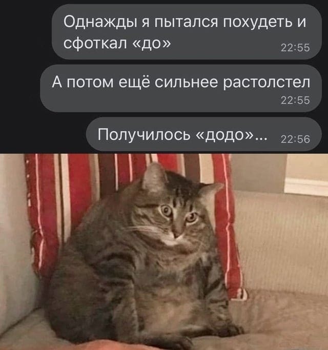 ������� ��������