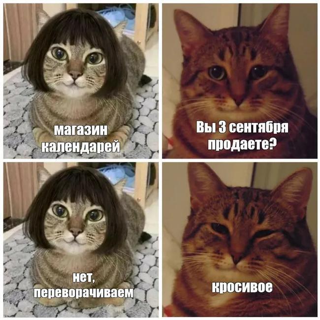 3 сентября...