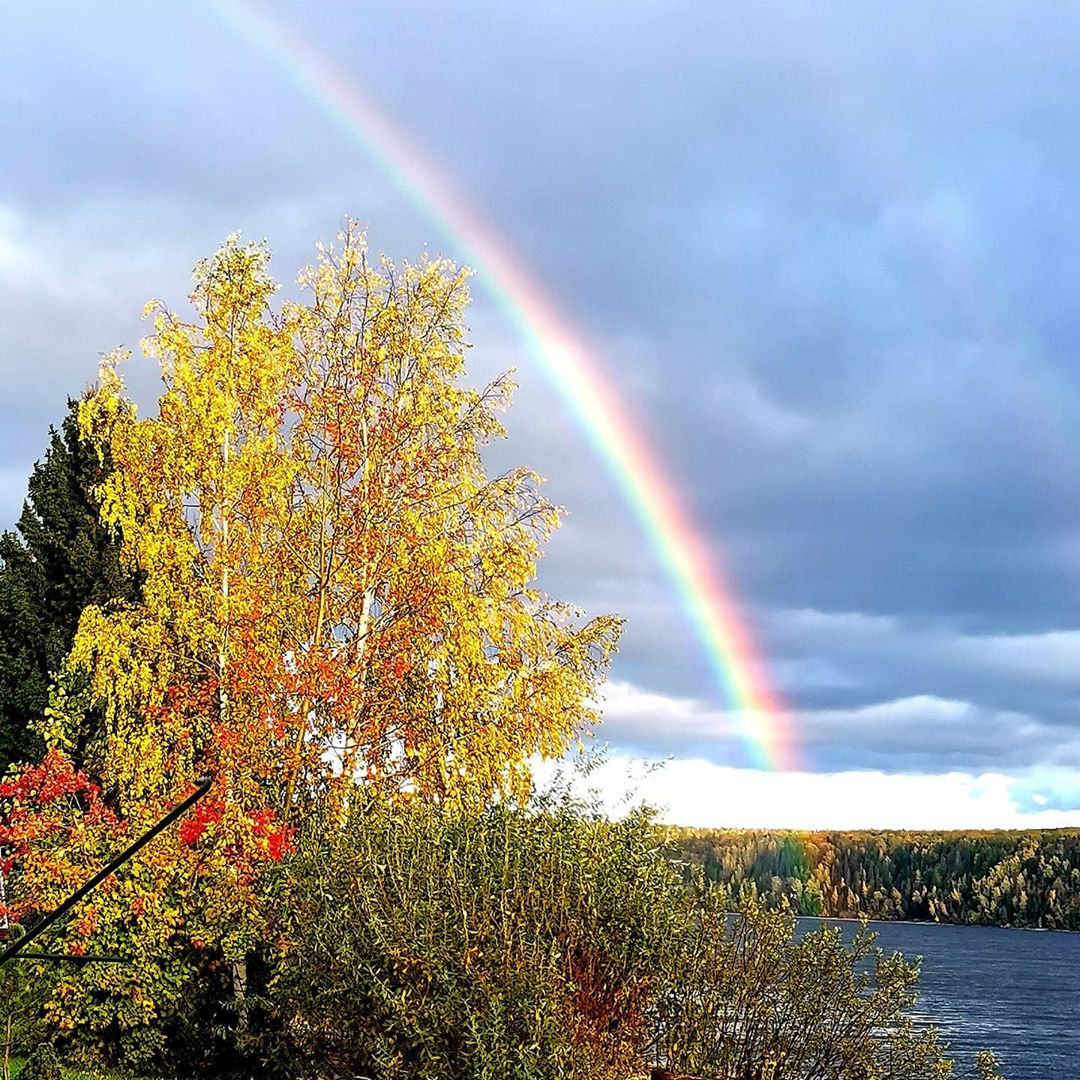 Rainbow - Rainbow, The photo