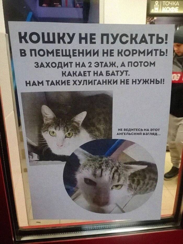 Ситуация в одном из районных ТЦ