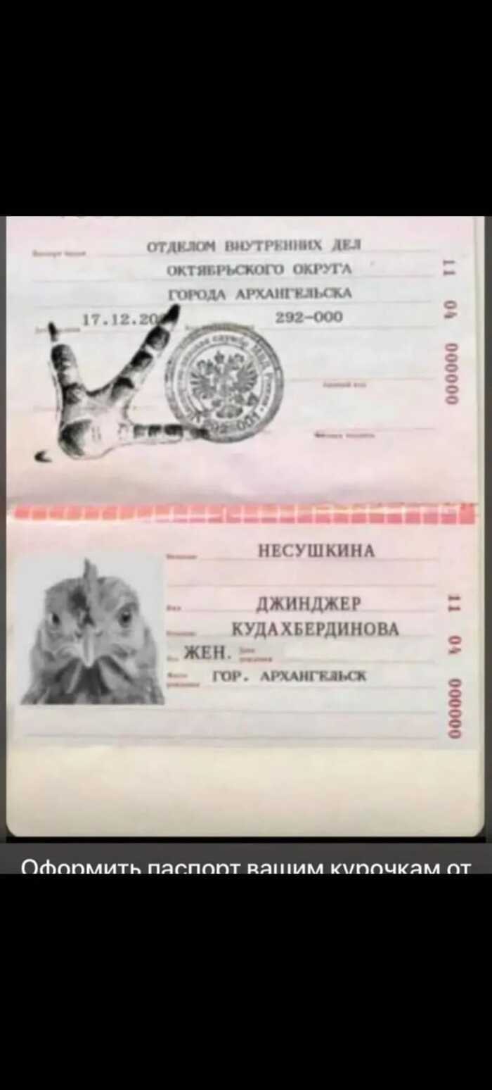 Появились первые паспорта кур. Новый закон...