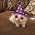 wizardHiro