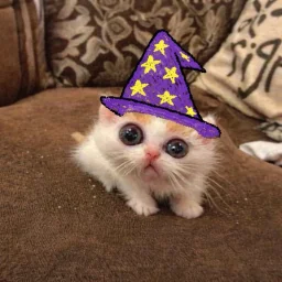 wizardHiro