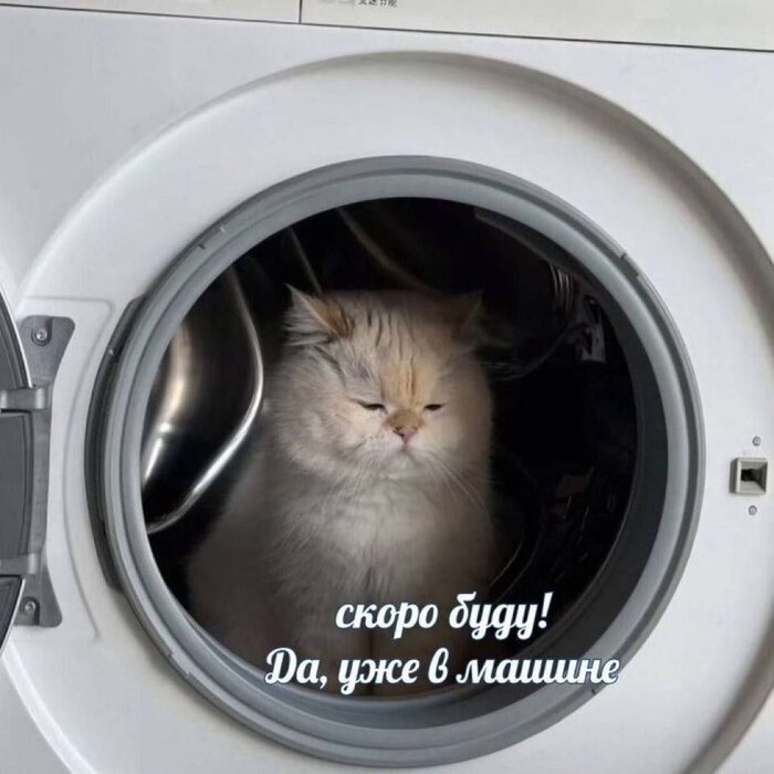 И фактически - это правда!