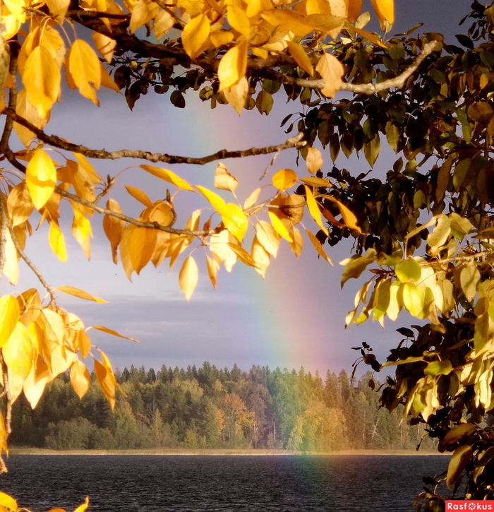Rainbow