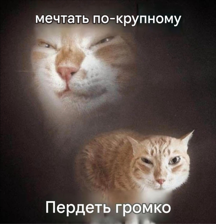 Мы?????