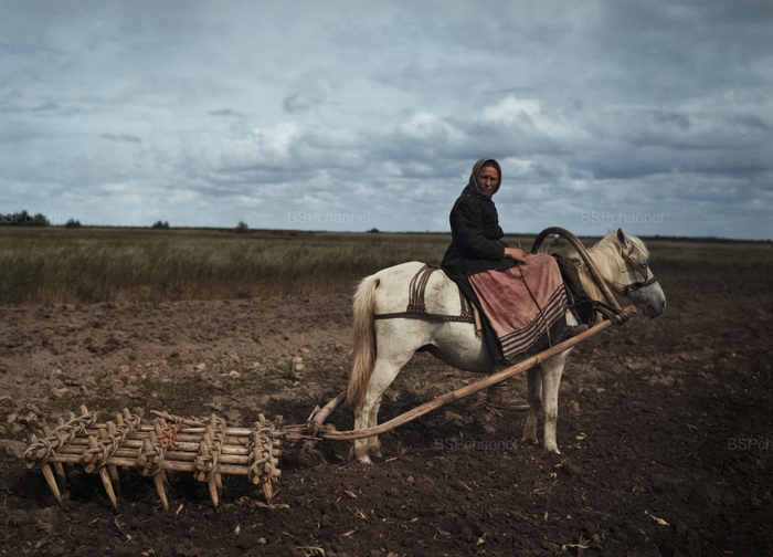 Фотограф: Павлович А.Н.
