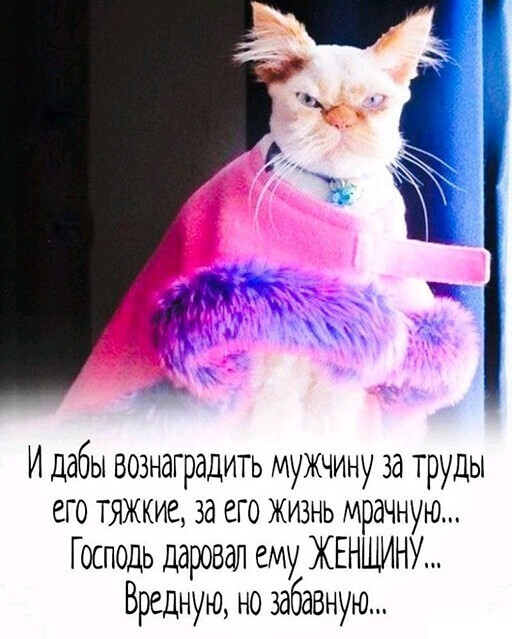 Красотка
