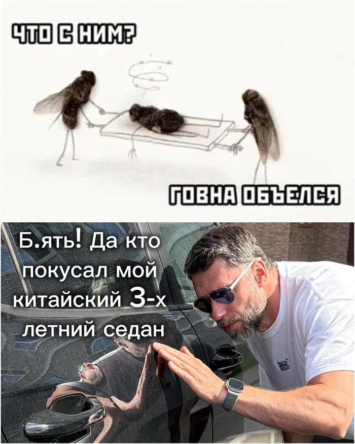 ��������� ��������
