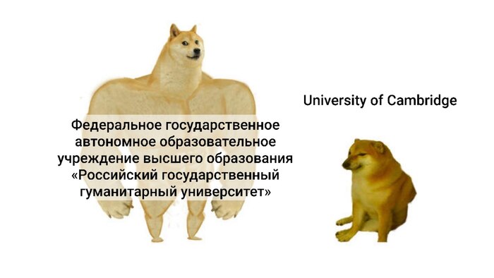 ФГАОУ ВО РГГУ