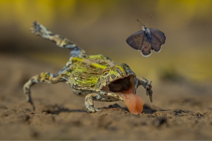 ����� ����: Jens Cullmann