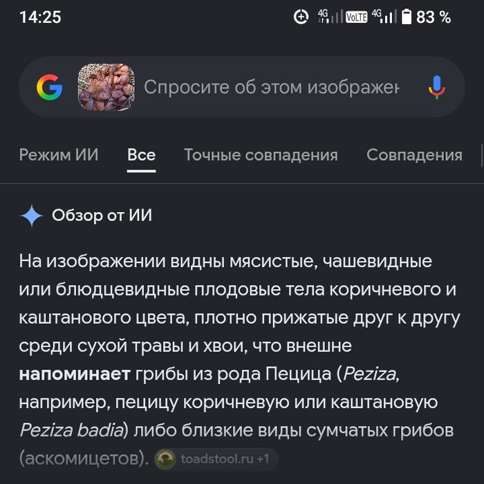 � ���� ������� ��� ����� ��������?