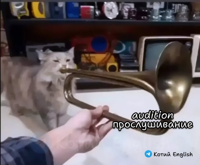 Прослушивание