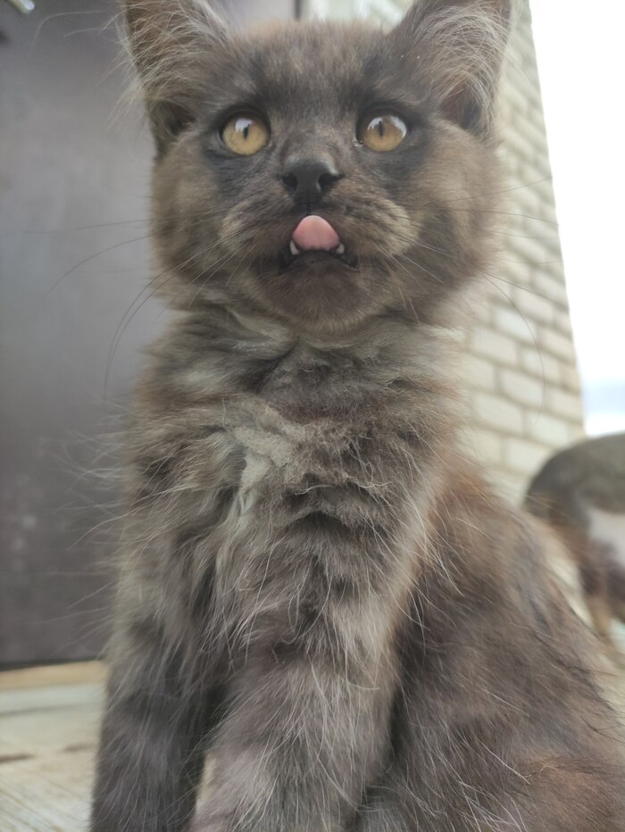 ���