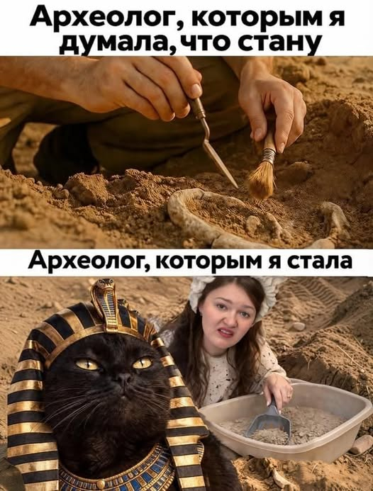 �����