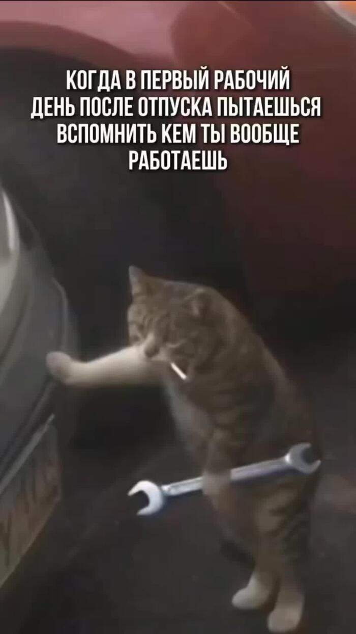 •