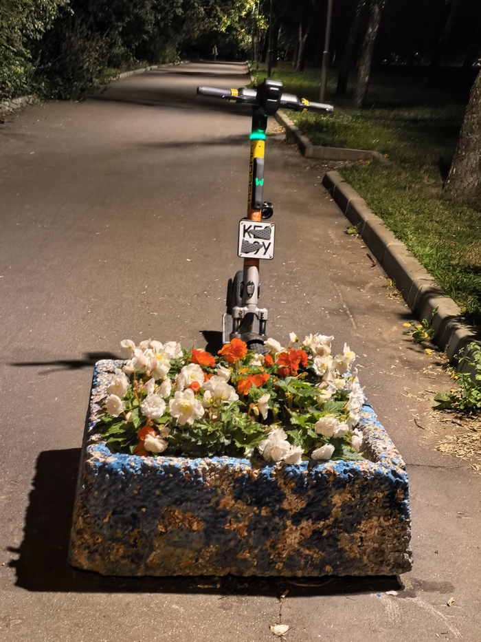 Могила самокатчика