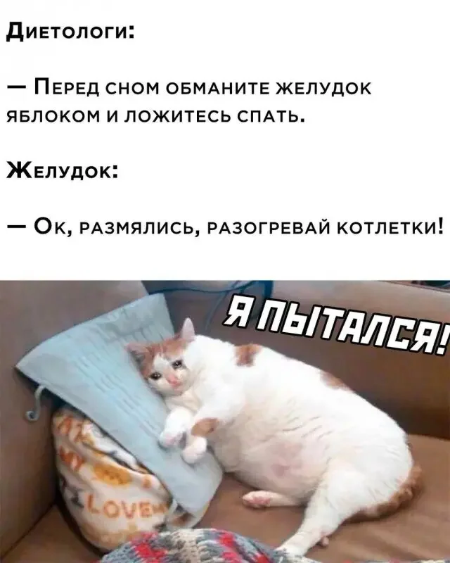 sfs7av3b.webp