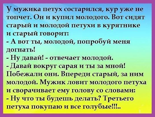 ������������ ��������