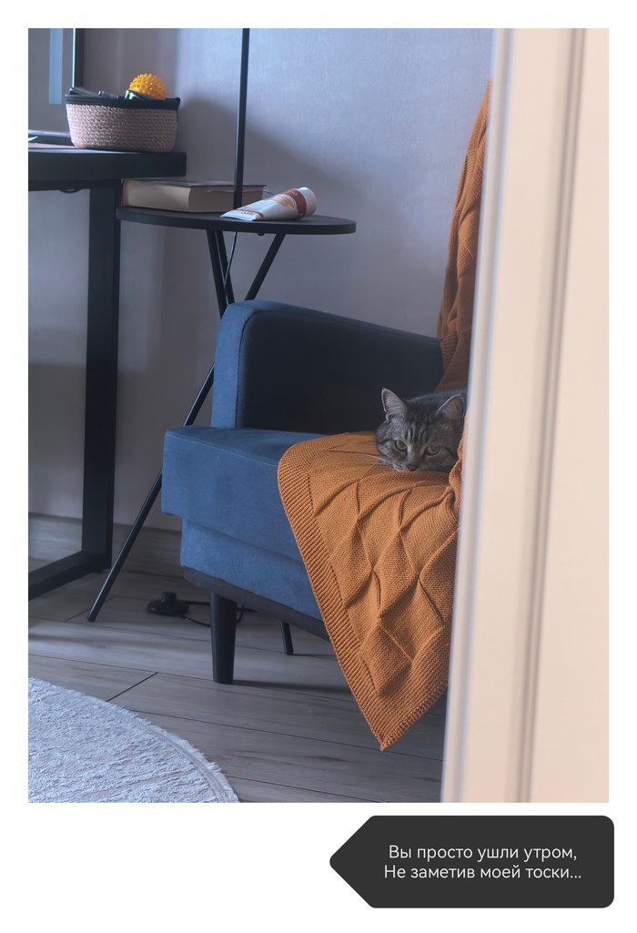 Мой котэ