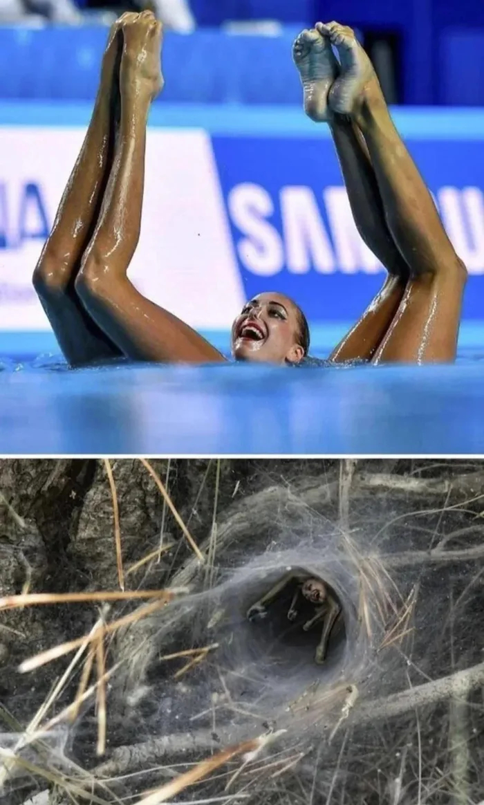������ ����� ���������� ������� �������
