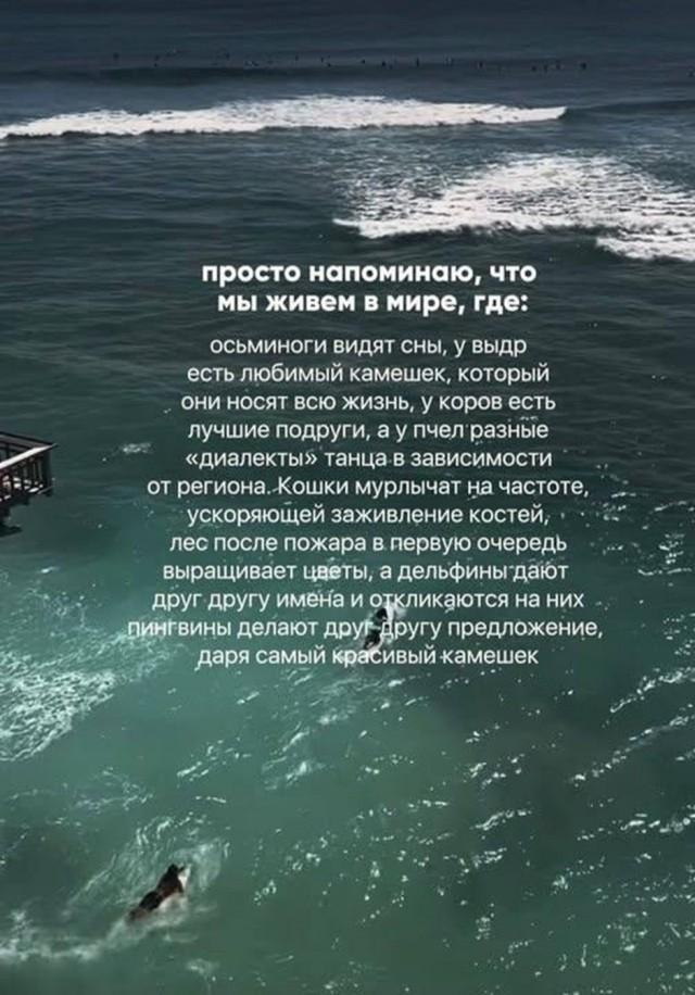 Удивительно, но мир исполняет свою симфонию, которую мы не всегда слышим