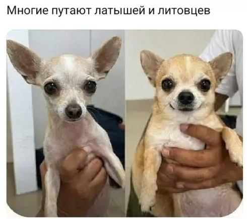 ��������, �� �����������