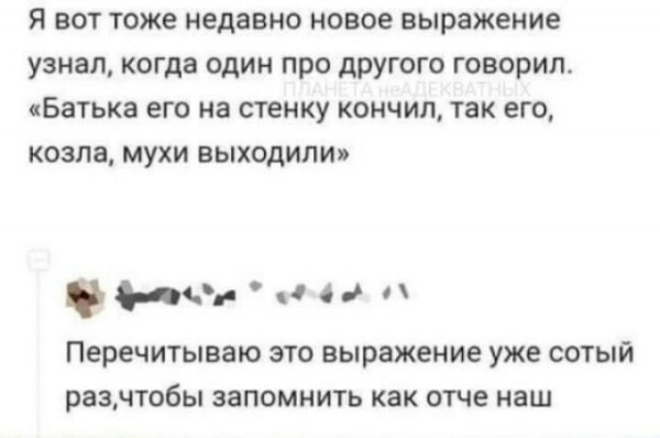 Новое выражение