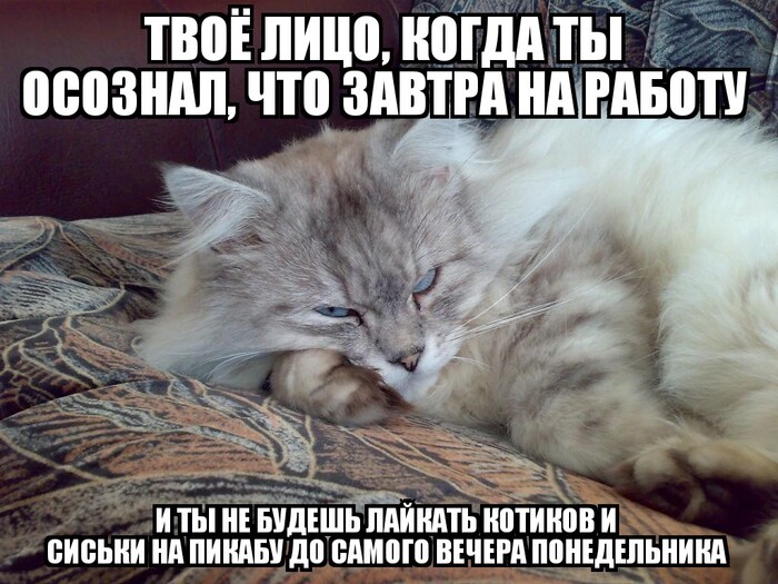 �������� �������� � �����