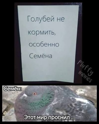 Тавтограмма: