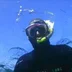 dive.log