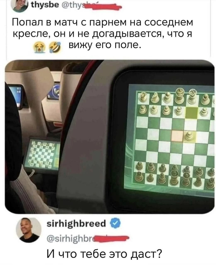 Шахматы