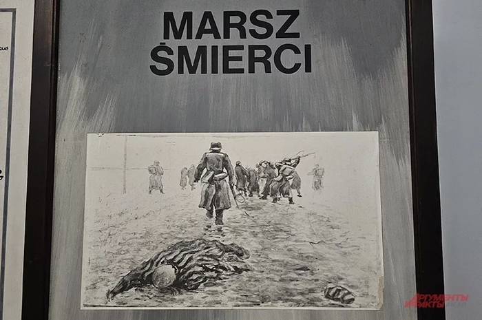 АиФ / Георгий Зотов