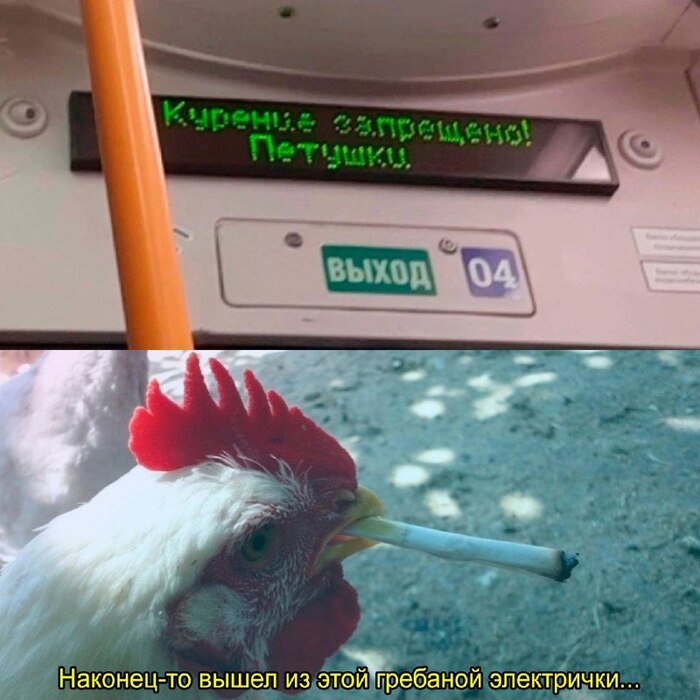 ����� ��� �� ���