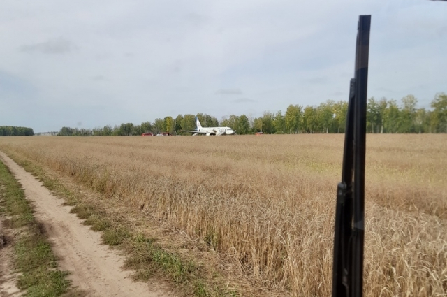 Тиким можно было увидеть самолёт с просёлочной дороги в первые дни после ЧП. Фото: <a href="https://pikabu.ru/story/52_pilotaprizraka_i_161_zhivoy_passazhir_kto_stoit_za_delom_pilota_belova_14357400?u=https%3A%2F%2Faif.ru%2F&t=%D0%98%D0%B7%20%D0%BB%D0%B8%D1%87%D0%BD%D0%BE%D0%B3%D0%BE%20%D0%B0%D1%80%D1%85%D0%B8%D0%B2%D0%B0&h=a1e58861719adc4a3b302fe53e093bf1f6864cd5" title="https://aif.ru/" target="_blank" rel="nofollow noopener">Из личного архива</a>/ Анатолий Коняшкин