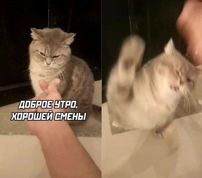 Подписывайтесь — мемы про работу, психологию и просто жизу каждый день.
