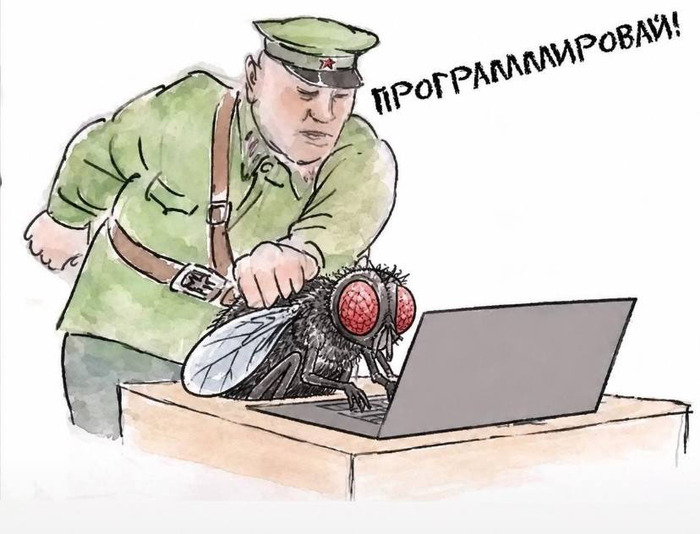 Суть всех последних издевательств над мухами...